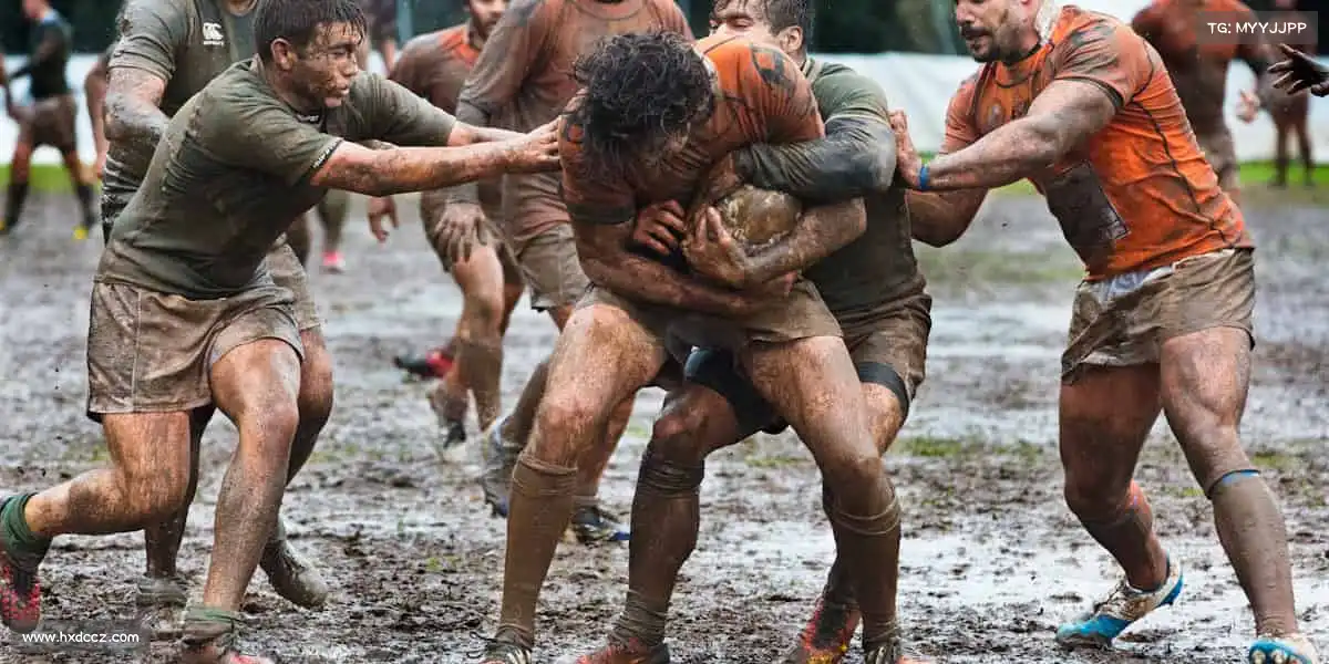 为什么选择我们